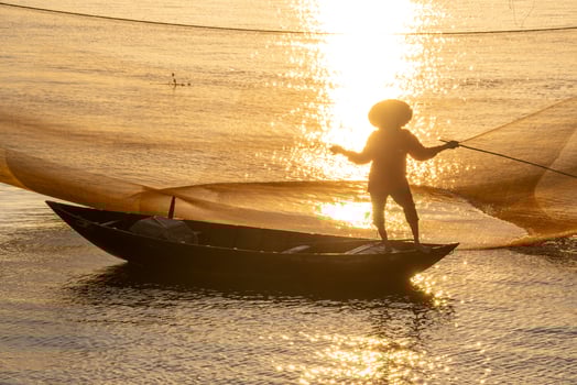View of unidentified fisherman checks his nets in early morning on river in Hoi An ancient town, Quang Nam Province, Vietnam photo