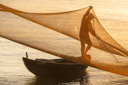 View of unidentified fisherman checks his nets in early morning on river in Hoi An ancient town, Quang Nam Province, Vietnam photo