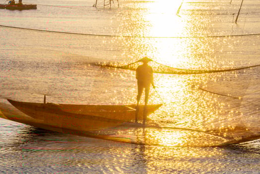 View of unidentified fisherman checks his nets in early morning on river in Hoi An ancient town, Quang Nam Province, Vietnam photo
