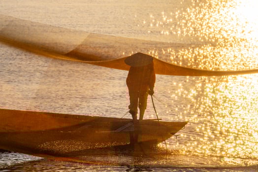 View of unidentified fisherman checks his nets in early morning on river in Hoi An ancient town, Quang Nam Province, Vietnam photo
