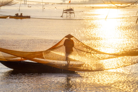 View of unidentified fisherman checks his nets in early morning on river in Hoi An ancient town, Quang Nam Province, Vietnam photo