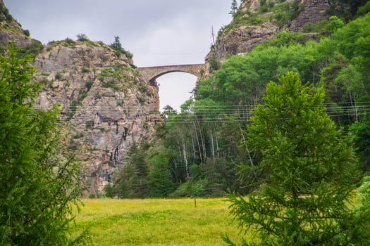 a bridge over a valley with trees and grass photo