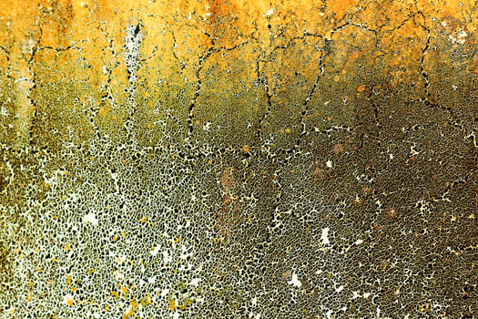 yellow brown safari texture, leopard print photo