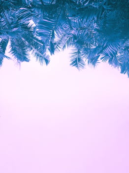 Palm trees against amazing cotton candy pink sky at sunset photo