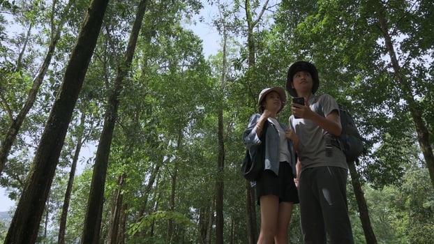Asian teen brother and sister are searching for directions with mobile phone app while standing in the forest park during summer camping. Outdoor activities. Bonding sibling. Travel explorer. photo