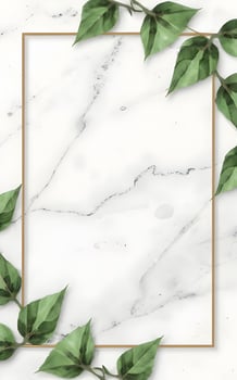 Vine Border Frame Copy Space Area photo