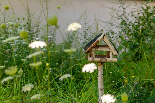 a wooden birdhouse is in a field of flowers photo