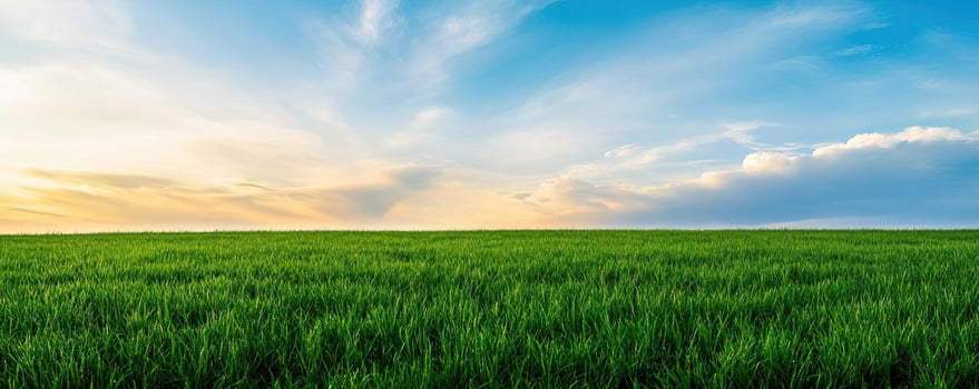 Vivid landscape of a sprawling meadow field under a changing sky, illustrating the dynamic shifts in weather patterns photo