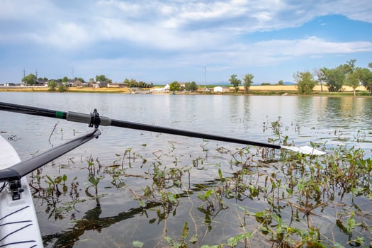 hatchet sculling oar on a calm lake with water weeds, Boyd Lake in Colorado photo
