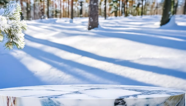 Marble podium on snowy forest background photo