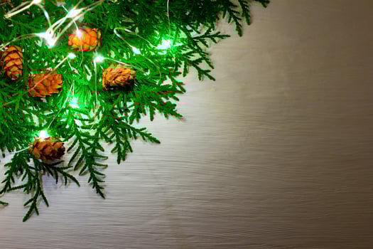 Christmas and New Year background for the inscription photo