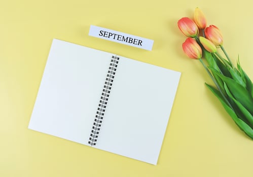 flat lay of opened blank pages notebook or diary, wooden calendar September with tulips bouquet on yellow background with copy space. photo