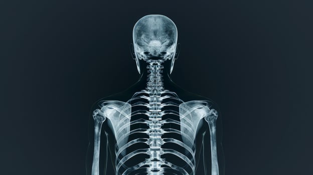 X-ray Image of Human Thoracic Skeleton Featuring Spinal Column and Rib Cage. Concept of Human Anatomy, Medical Imaging, Skeletal System, Healthcare photo