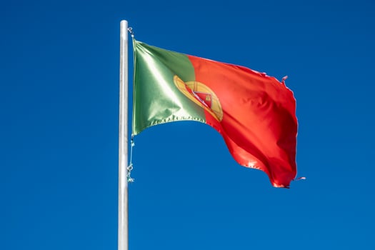 a flag of Portugal waving in the wind photo