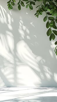 Bright office space with white wall and plant shadows photo