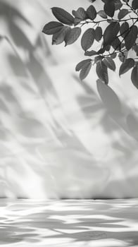 Sunlit interior with artistic plant shadow on wall photo
