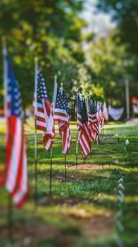 American flags on a sunny day in a park for Fourth of July photo