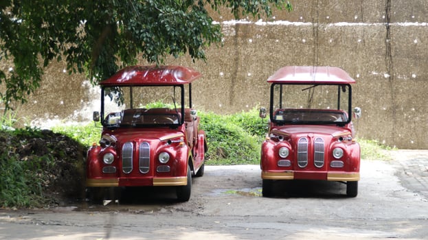 Two Vintage Red Tourist Cars with Canopies Parked on Concrete Ground against Stone Wall Background under Tree Shade photo