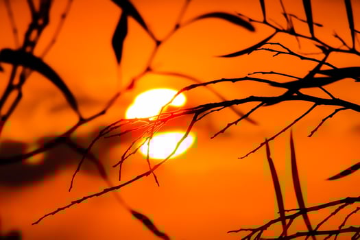 Morning Golden Sky and Sun Scenic Beauty photo