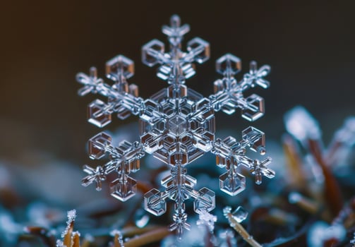 Extreme close-up macro photography of the intricate pattern of a snowflake photo