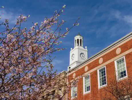 Cherry blossoms frame the cupola on the roof of the Delaware City Hall in Delaware County, Ohio photo