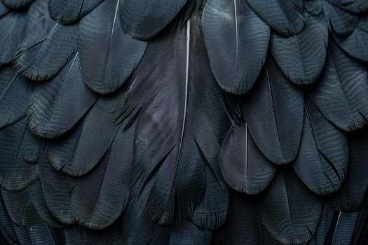 Beautiful texture bird feather for design natural abstract background photo