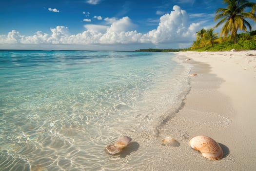 Sunlit Beach with Clear Waters photo