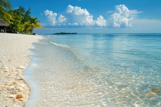 Sunlit Beach with Clear Waters photo