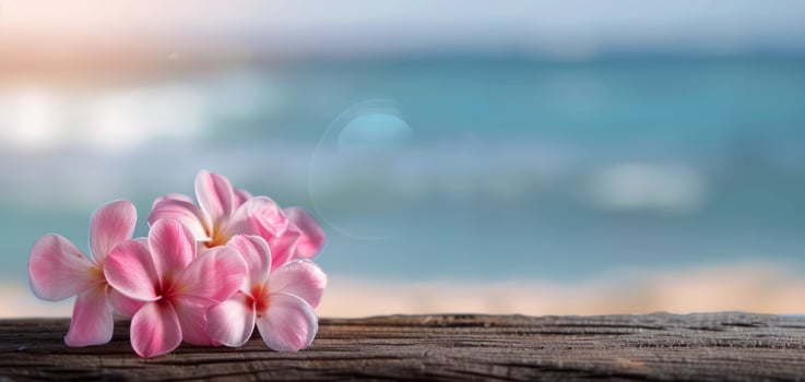 Pink Flowers Resting on Weathered Wood by the Ocean at Sunset photo