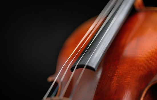 Close-Up of Violin Strings Against a Dark Background photo