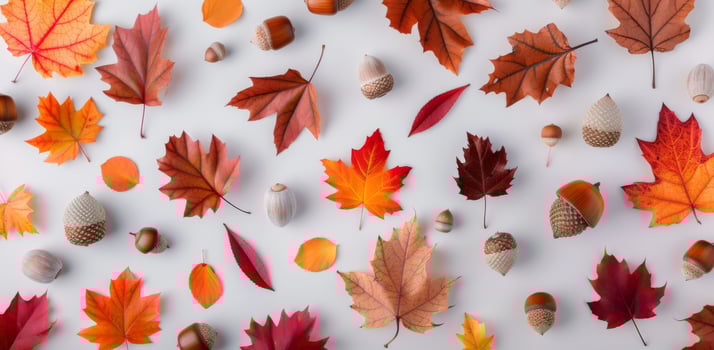 Colorful Autumn Leaves and Acorns on White Background in Natural Arrangement photo