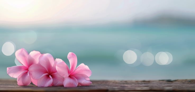 Pink Plumeria Flowers Resting on a Wooden Surface by the Ocean at Sunrise photo