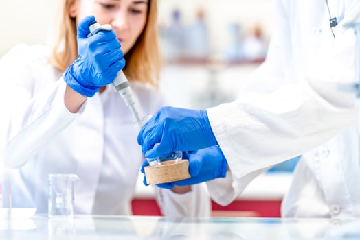 students of the science faculty will conduct chemical research in the laboratory photo