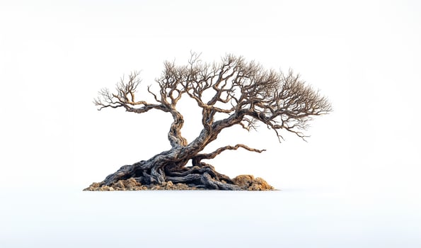 Tree with no foliage photo