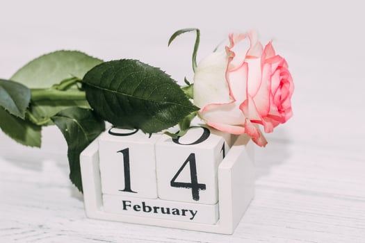 Pink tea rose with heart shaped pink mousse cake and February 14 calendar. photo