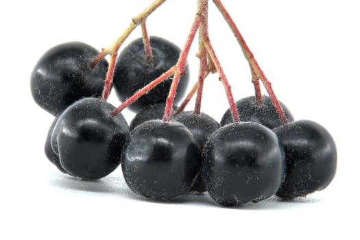 Black chokeberry clusters isolated on white background for natural and healthy food concepts photo