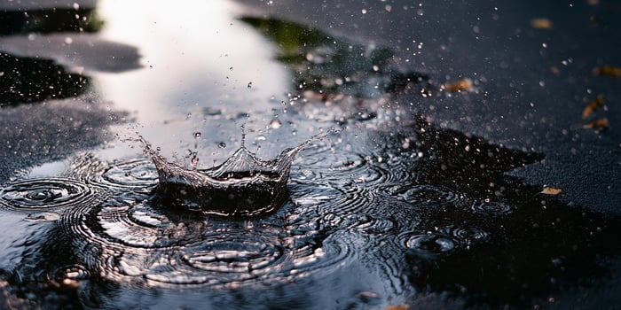 rain drops on the ground photo