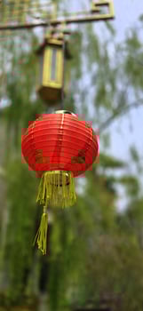 Chinese red lanterns during chinese new year festival, Chinese new year, new year celebration concept and happy new year Chinese, representing prosperity and happiness photo