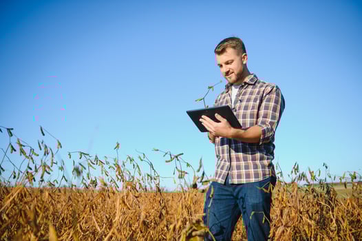 Agronomist inspecting soya bean crops growing in the farm field. Agriculture production concept. young agronomist examines soybean crop on field in summer. Farmer on soybean field photo