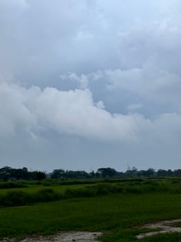 overall atmosphere is one of serenity and contemplation, inviting the viewer to appreciate the vastness and richness of the landscape. photo
