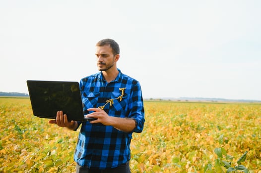 A farmer agronomist inspects soybeans growing in a field. Agriculture photo
