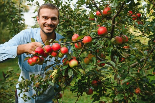 Choosing the best apples. Happy young man farmer stretching out hand to ripe apple and smiling while standing in the garden photo