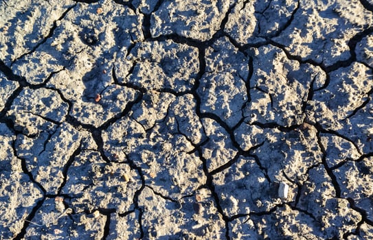 Close-up, dry cracked clay, cracks on the ground. Petrified Forest National Park, Arizona photo