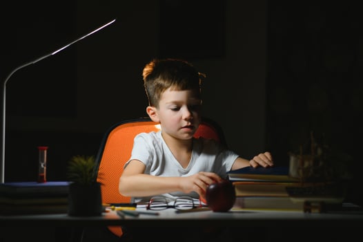 boy doing homework at home in evening photo
