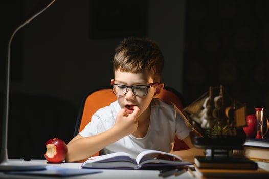 Boy learn lessons in the home setting at the table in the light of a table lamp. photo