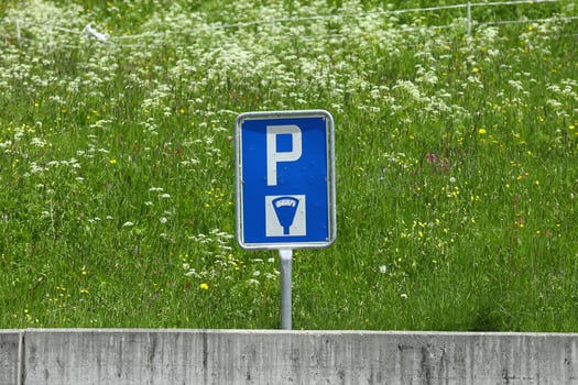 Blue summer parking zone sign on green lawn background photo