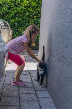 funny friends little girl, five years old child sitting on the ground and black cat on the street in Summertime photo