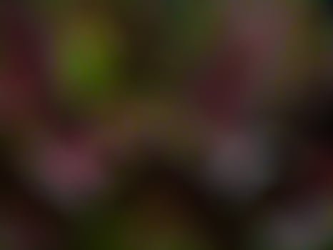 Abstract background with blurred camera effect photo