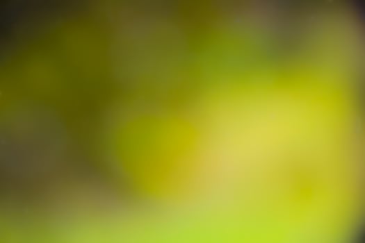 Abstract green to yellow nature background, blurred by camera photo