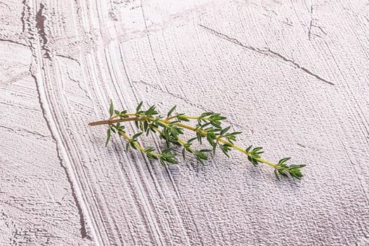 Aroma seasoning thyme stem with leaves photo
